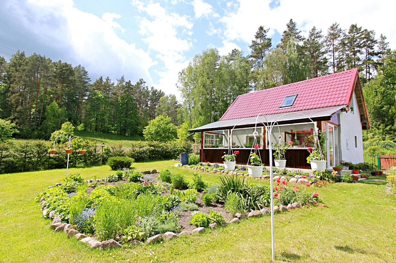 Domki wczasowe Mazury - Ferienhaus Masuren Dluzek Zewnętrze zdjęcie