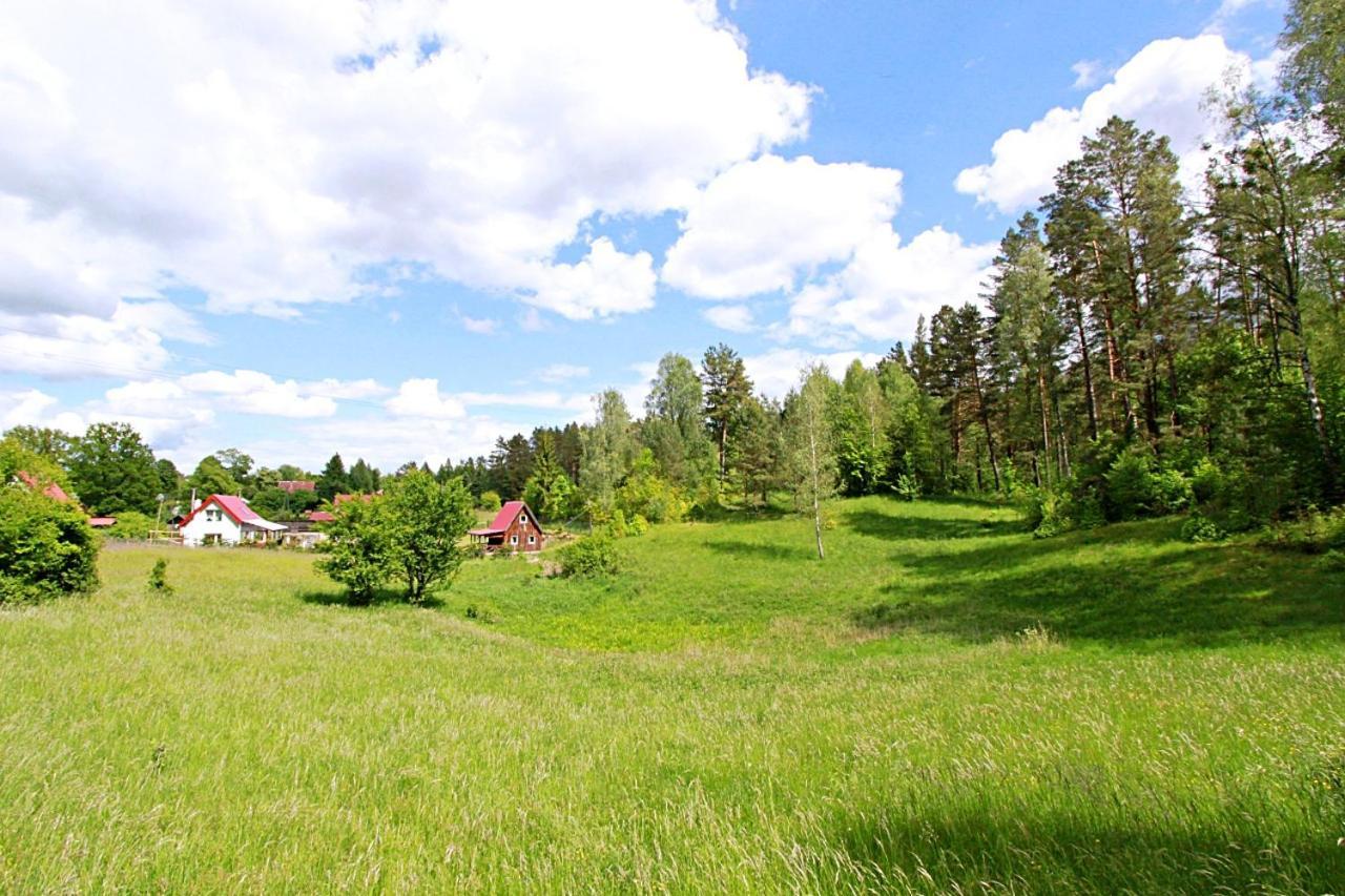 Domki wczasowe Mazury - Ferienhaus Masuren Dluzek Zewnętrze zdjęcie