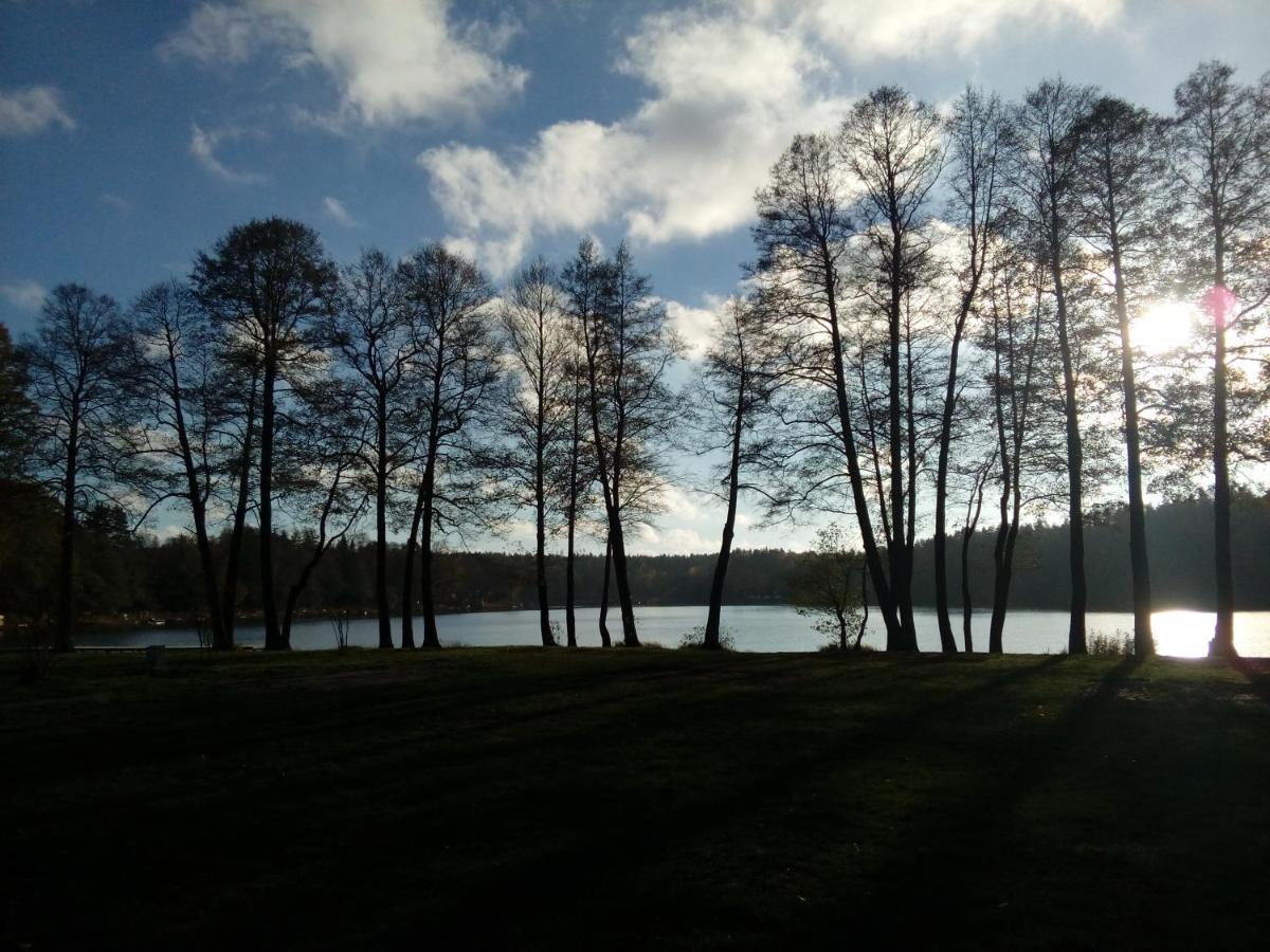 Domki wczasowe Mazury - Ferienhaus Masuren Dluzek Zewnętrze zdjęcie