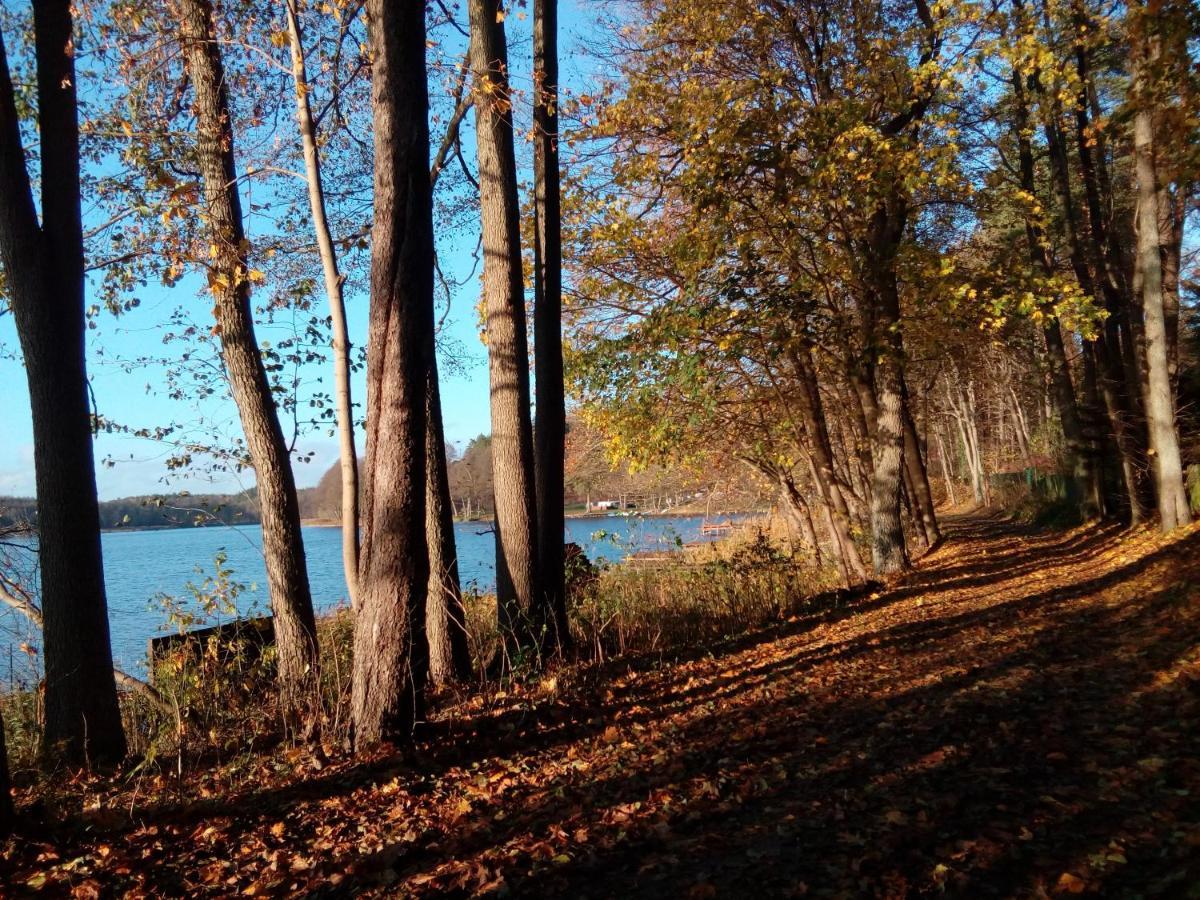 Domki wczasowe Mazury - Ferienhaus Masuren Dluzek Zewnętrze zdjęcie